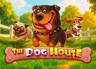The Dog House Profesyonel Oyun Rehberi 2026